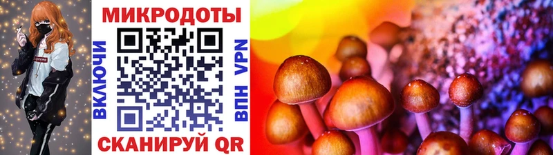 Псилоцибиновые грибы мухоморы Купить где Владивосток